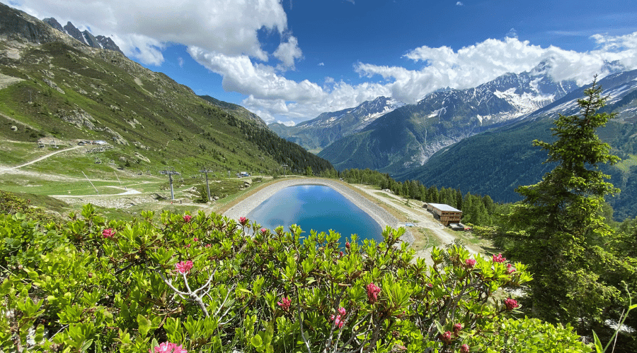 Domaine de la Flégère - été