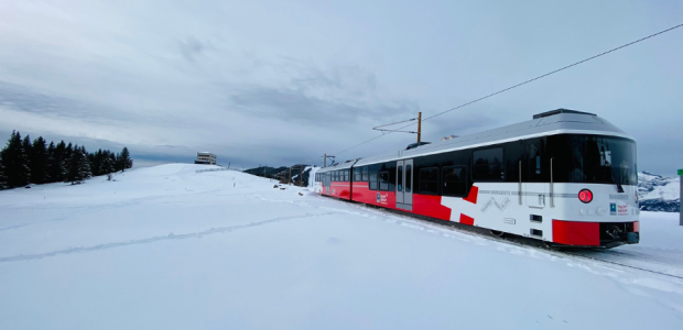 TMB_Hiver_Marguerite